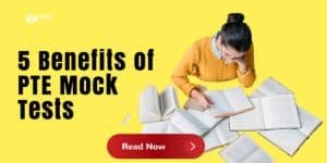 The benefits of PTE mock test